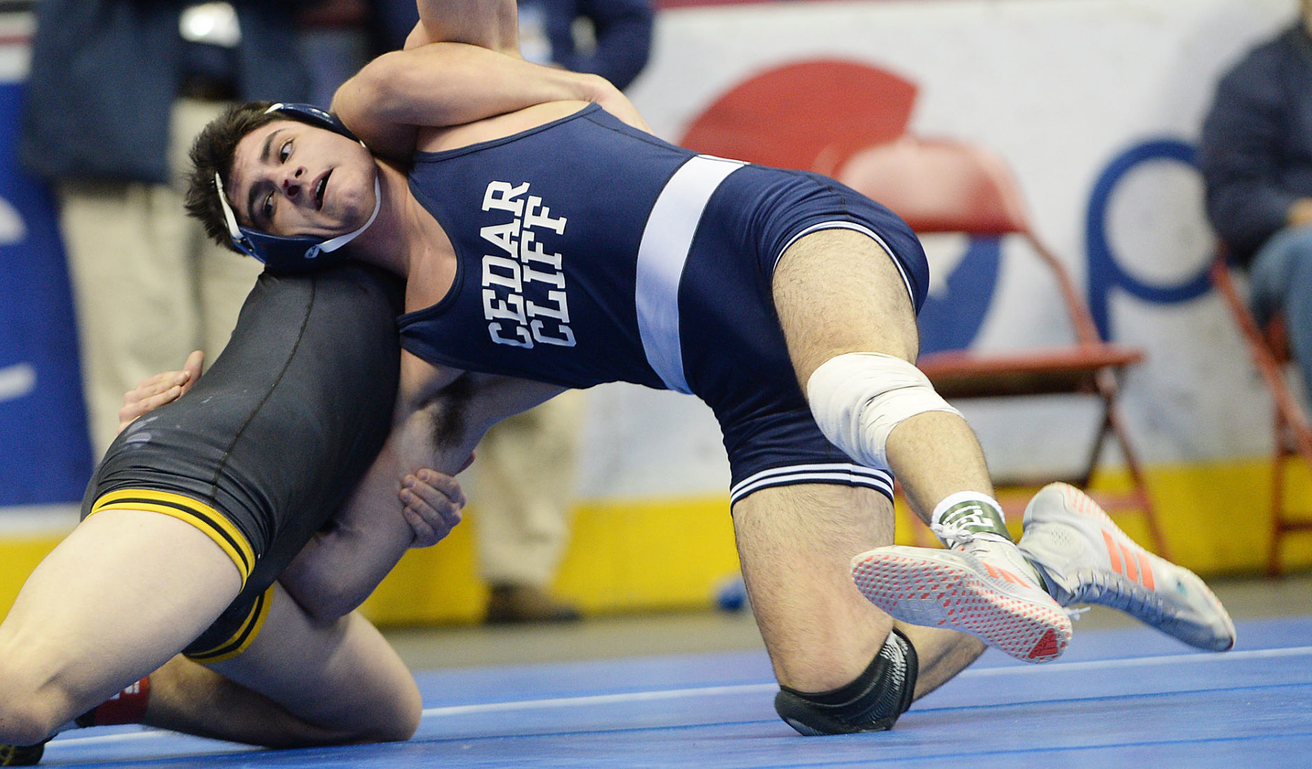 PIAA Team Wrestling: Class 3A Day 2